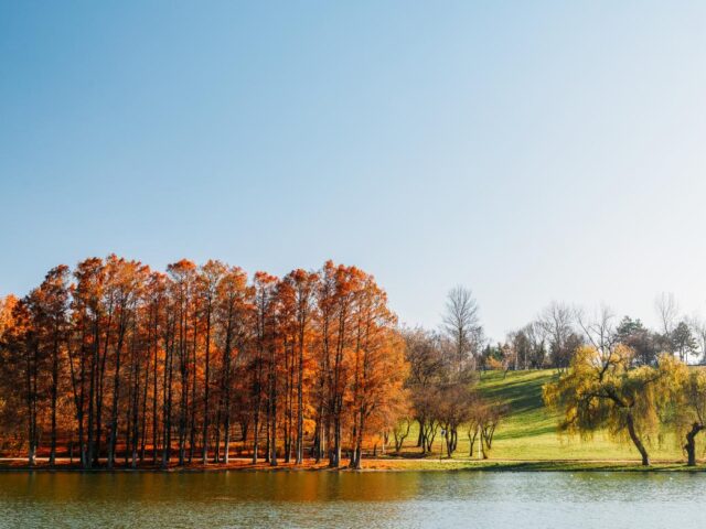 Explorează Bucureștiul în Natură: Oaze Verzi în Inima Capitalei